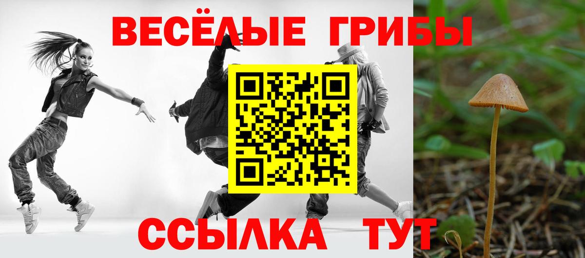 Смоленск  Псилоцибиновые грибы Psilocybe  Вход с VPN 